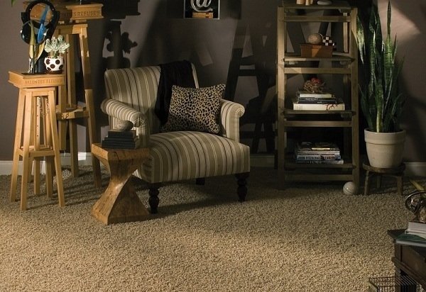 Buy Frieze Shag Carpets