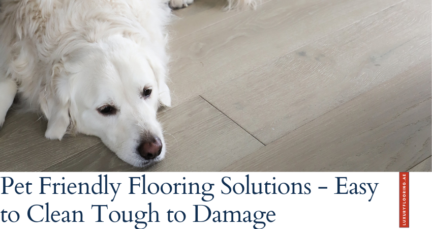 pet friendly flooring