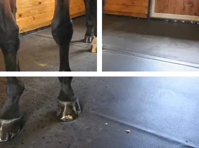 horse stall mats dubai
